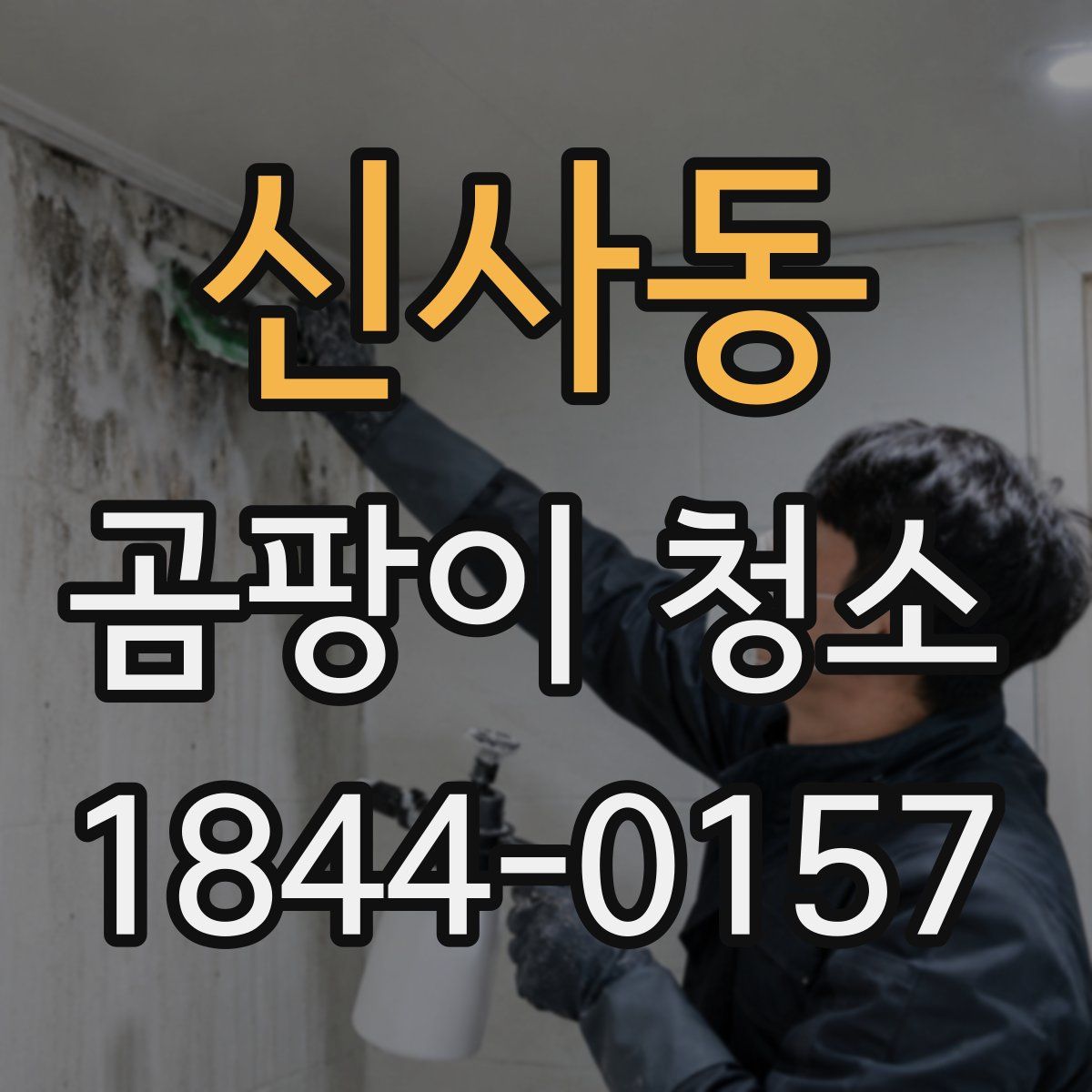 신사동 곰팡이 청소