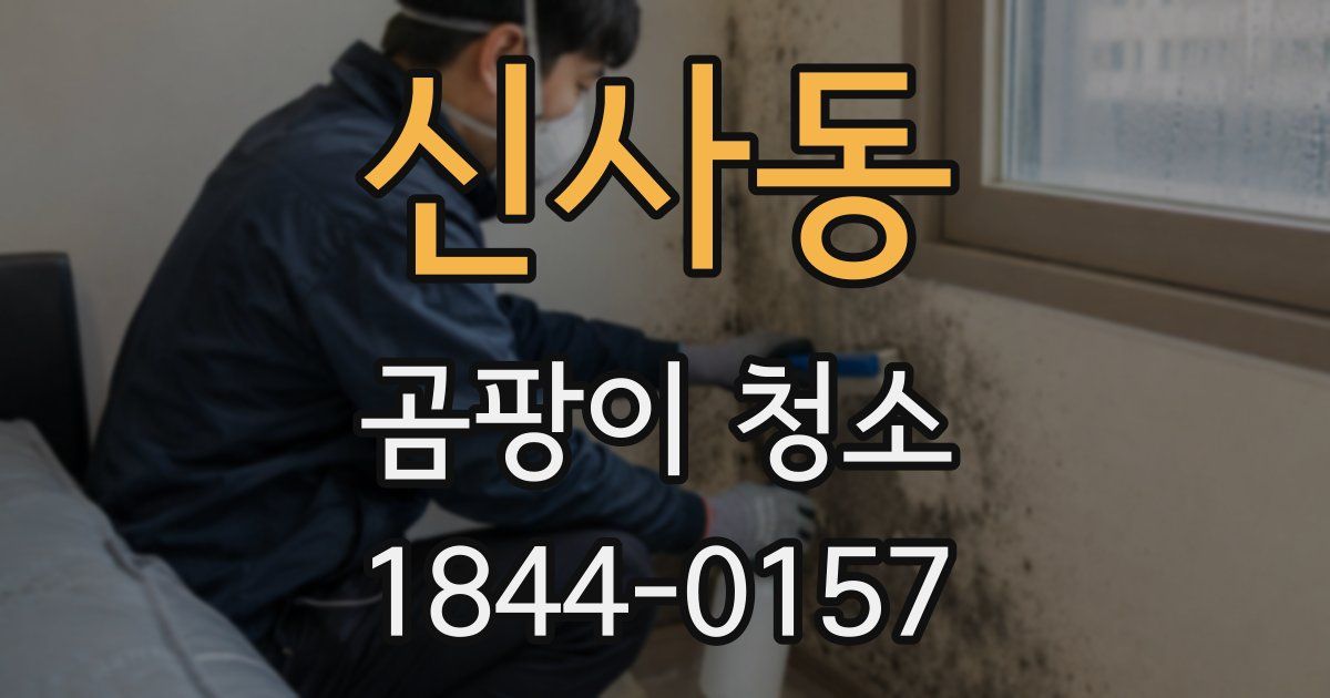 신사동 곰팡이 청소