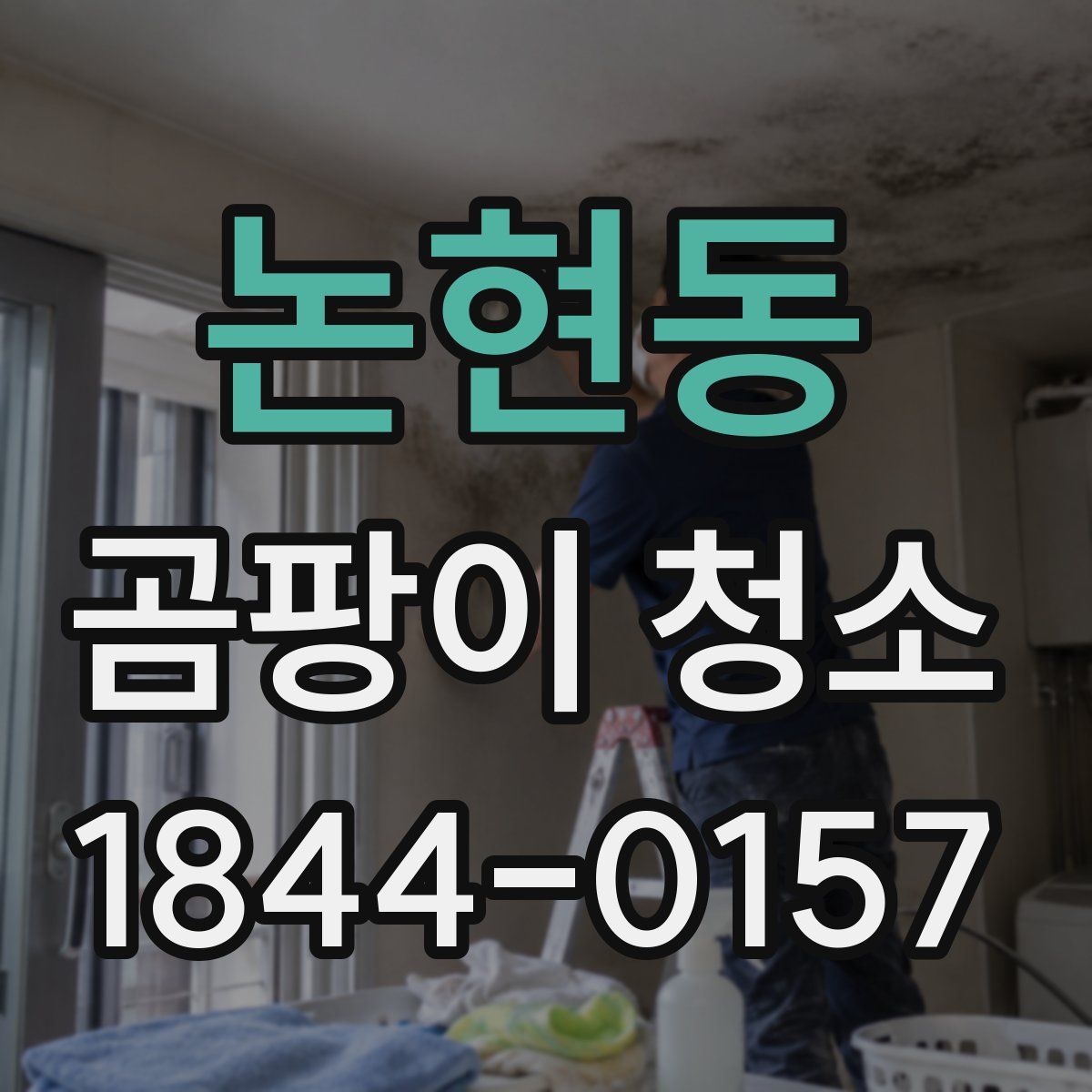 논현동 곰팡이 청소