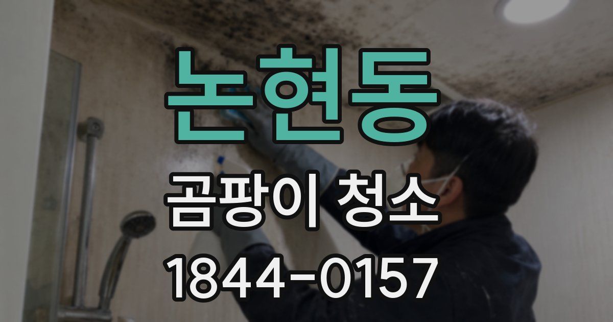 논현동 곰팡이 청소