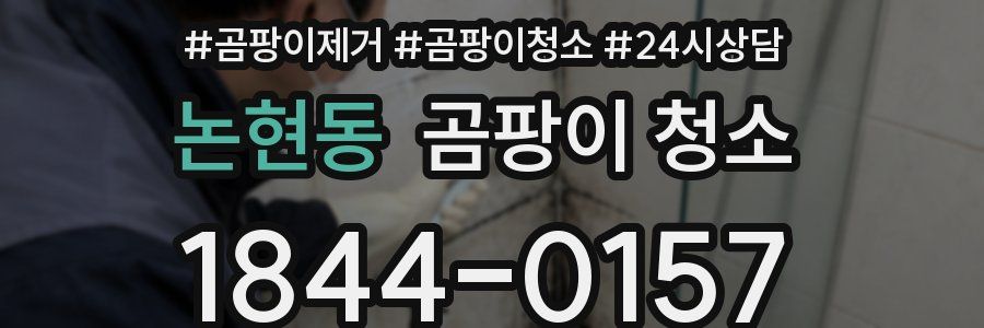 논현동 곰팡이 청소