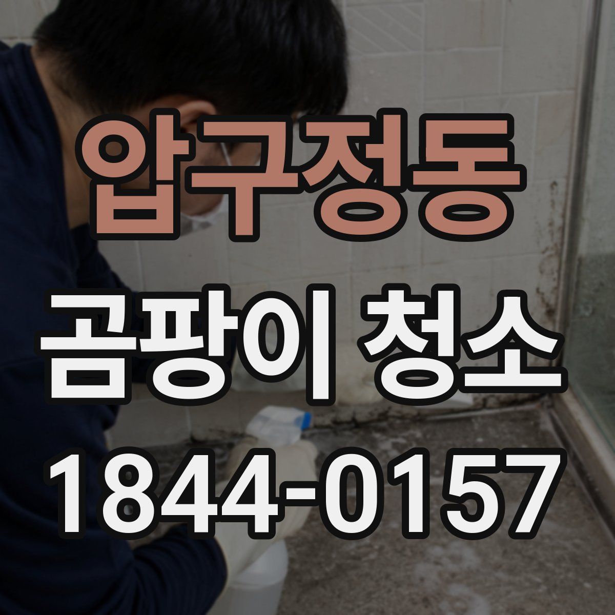 압구정동 곰팡이 청소