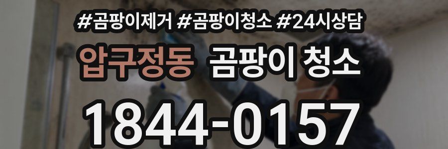 압구정동 곰팡이 청소