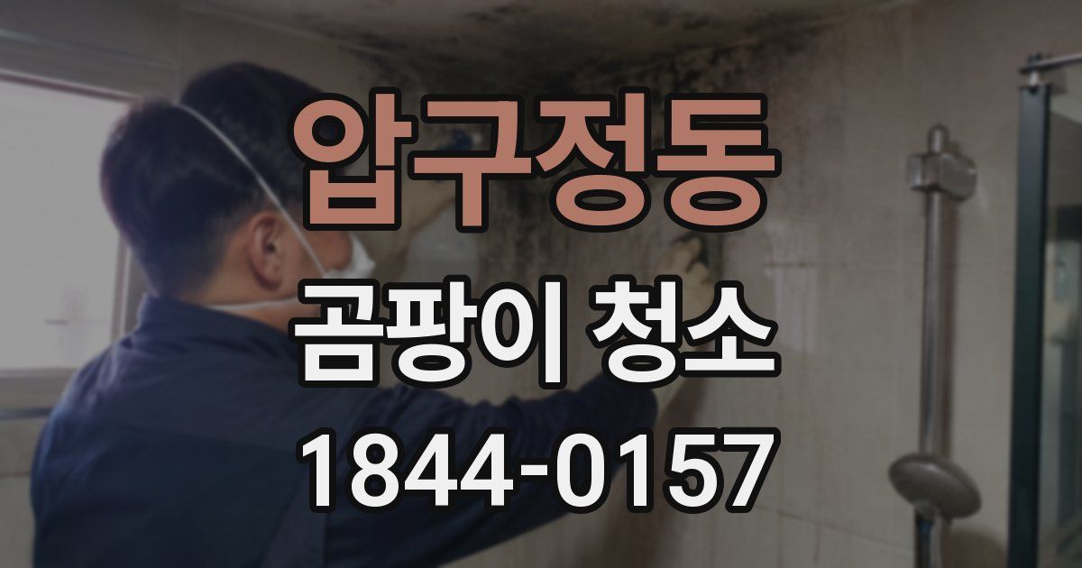 압구정동 곰팡이 청소