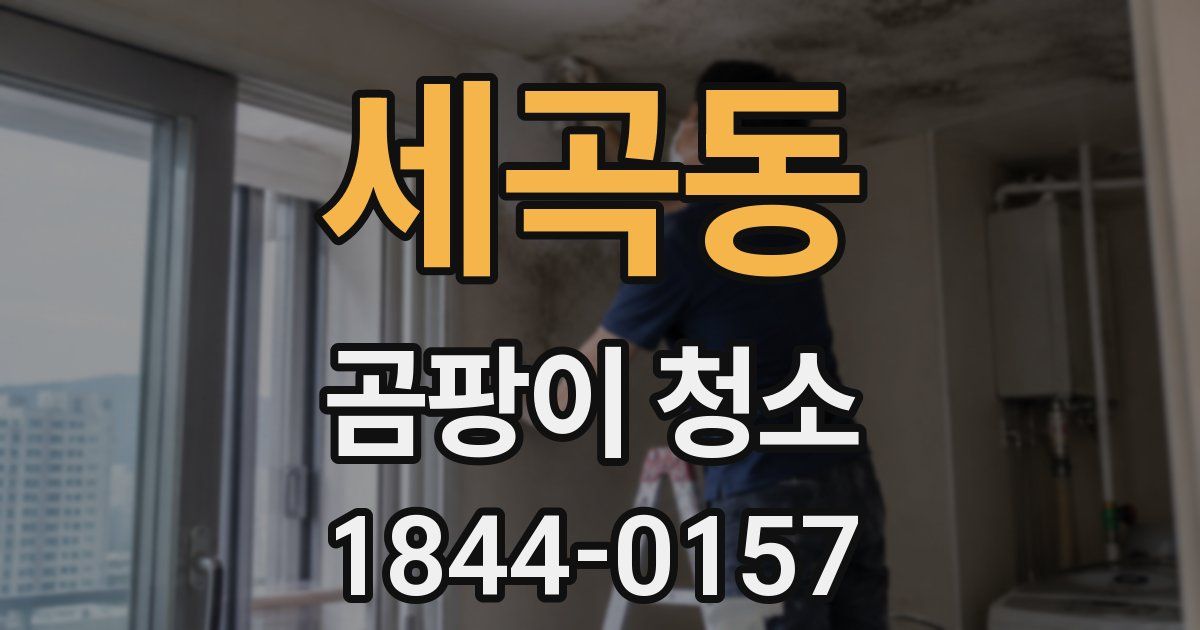 세곡동 곰팡이 청소
