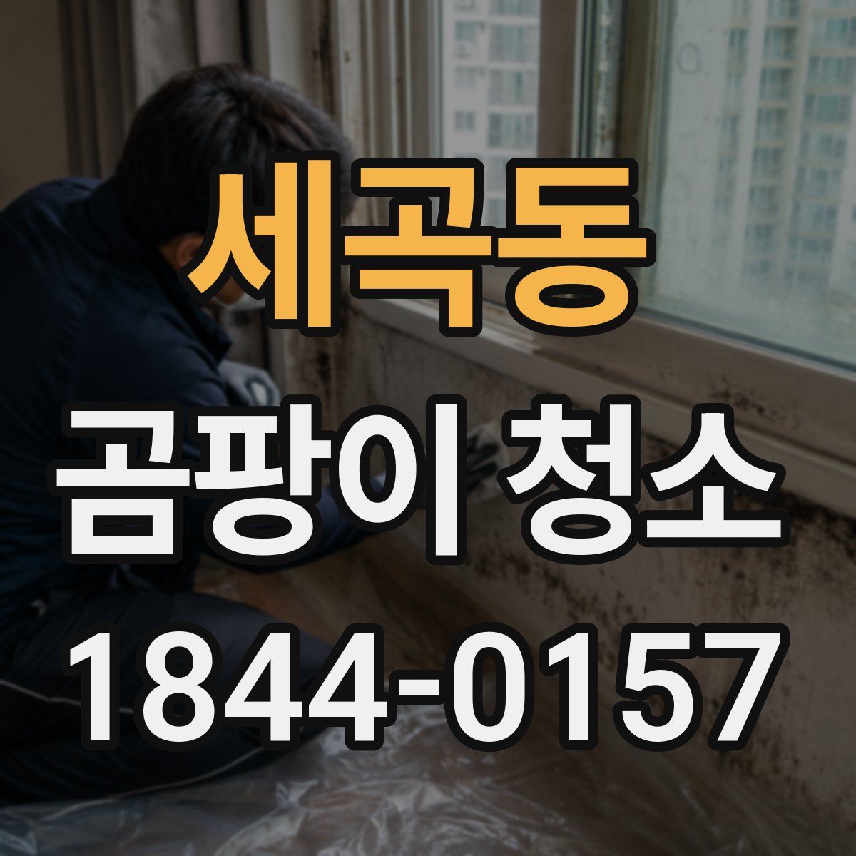 세곡동 곰팡이 청소