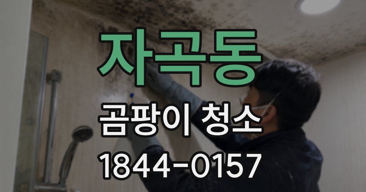 자곡동 곰팡이 청소