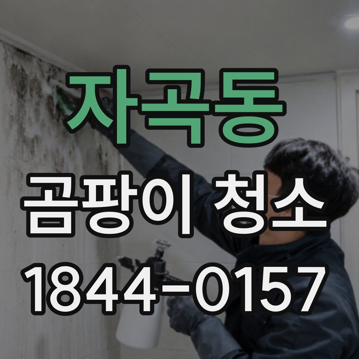 자곡동 곰팡이 청소