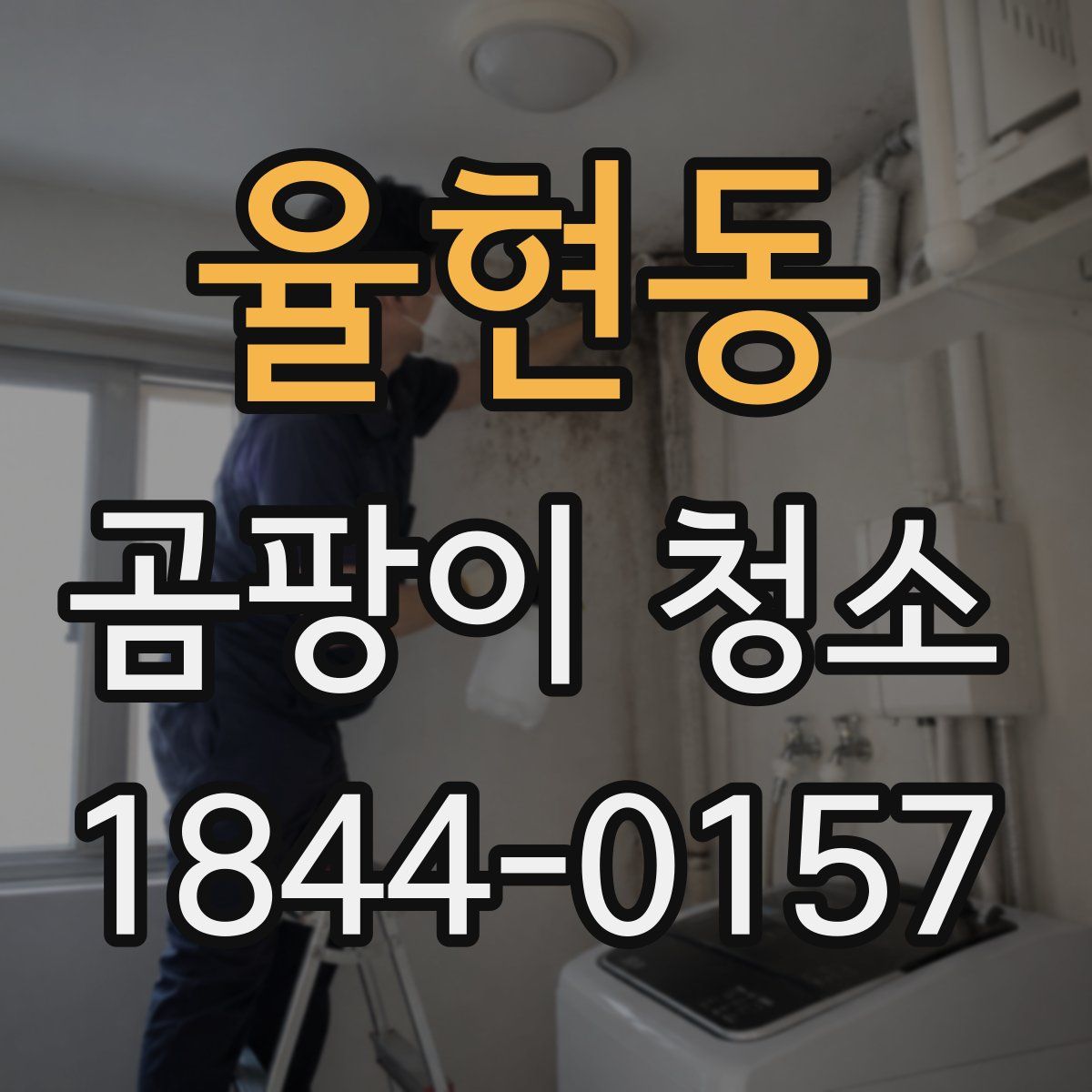 율현동 곰팡이 청소