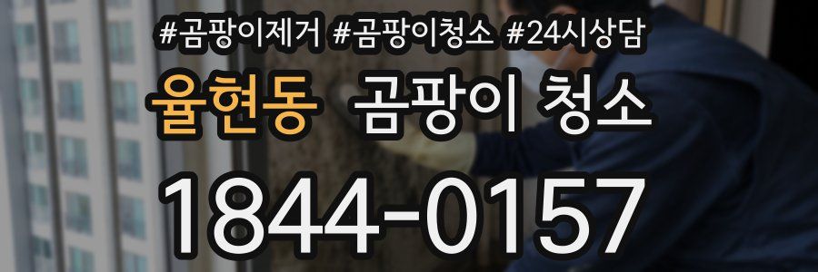 율현동 곰팡이 청소