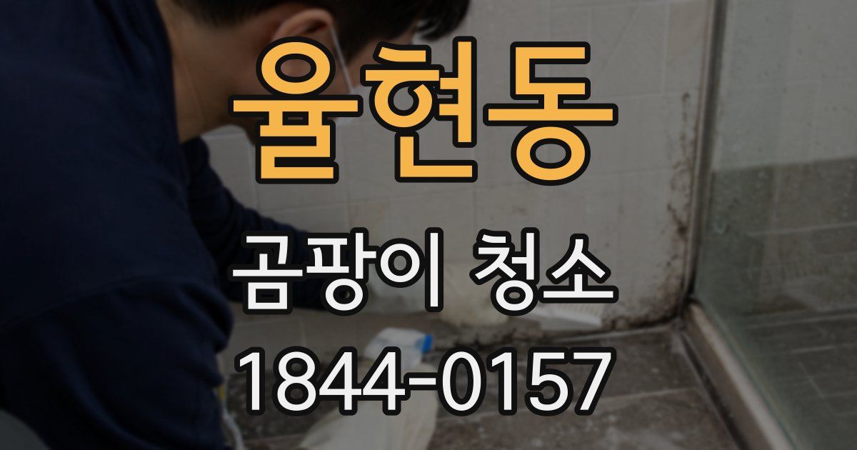 율현동 곰팡이 청소