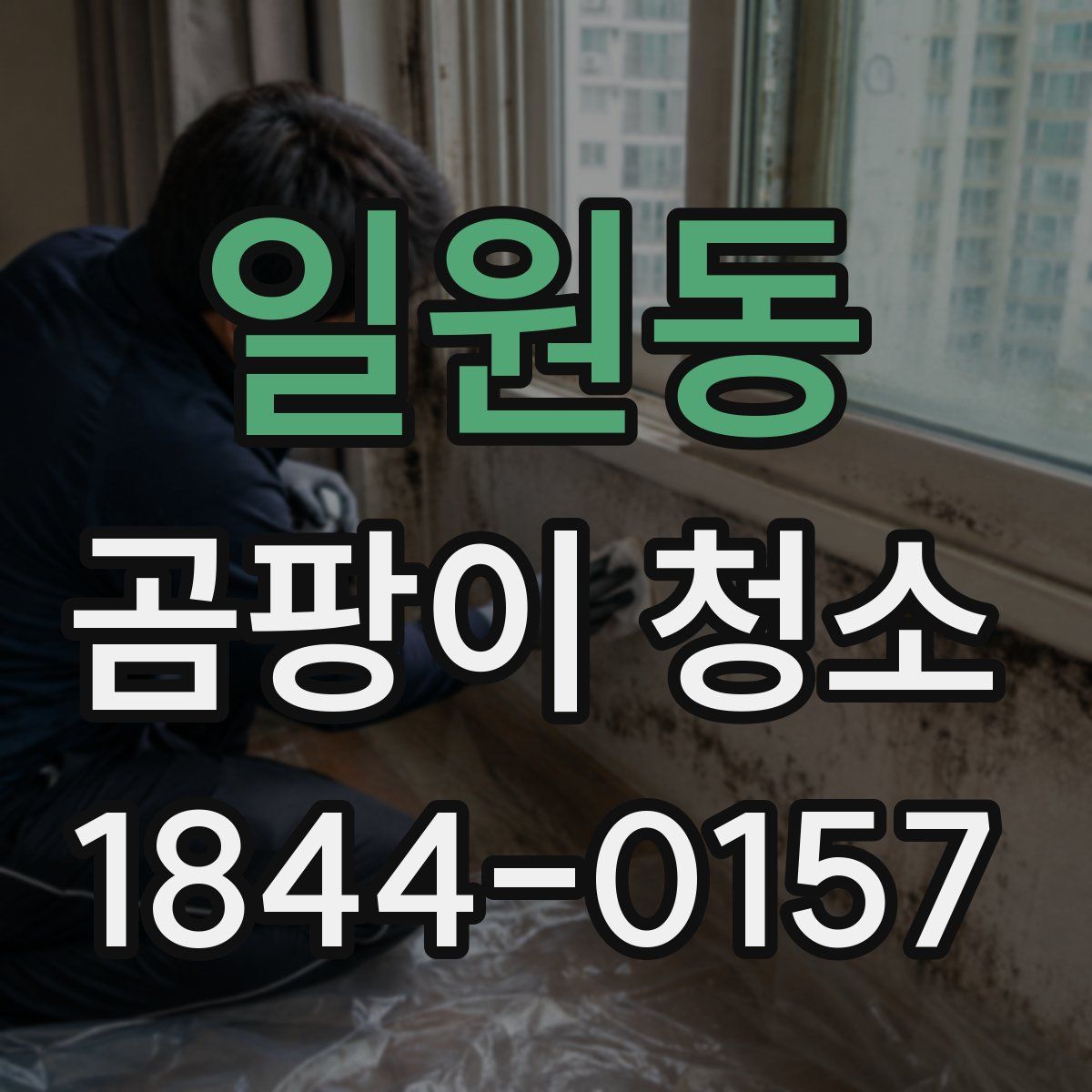 일원동 곰팡이 청소