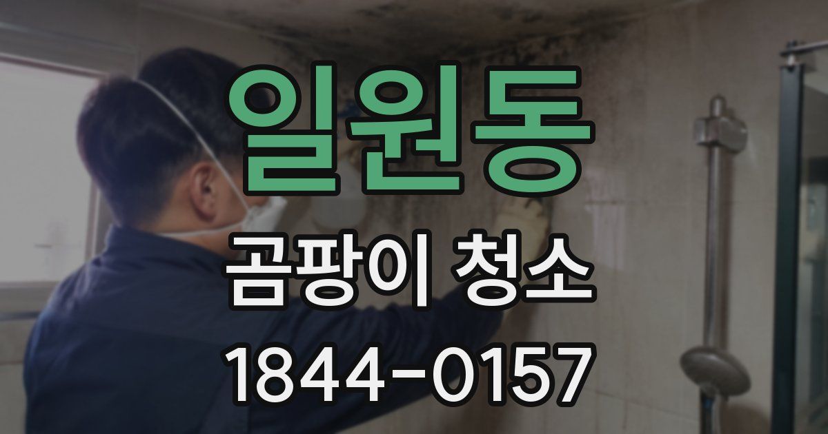 일원동 곰팡이 청소