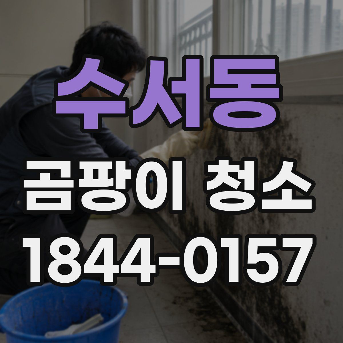 수서동 곰팡이 청소
