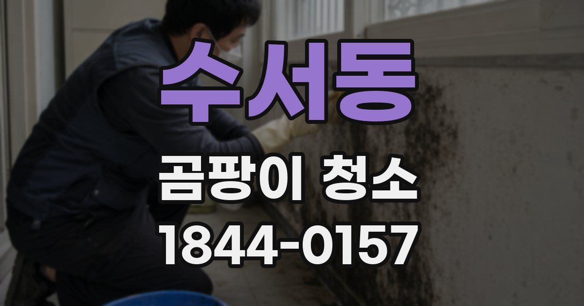 수서동 곰팡이 청소