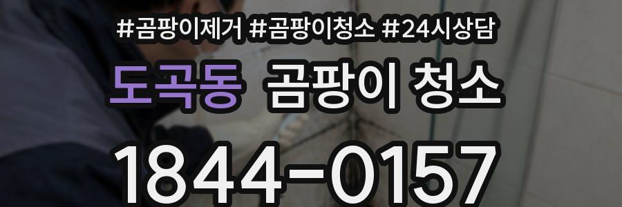 도곡동 곰팡이 청소