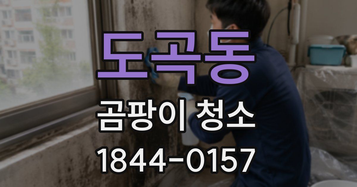 도곡동 곰팡이 청소