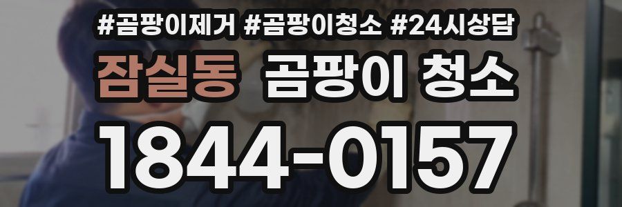 잠실동 곰팡이 청소