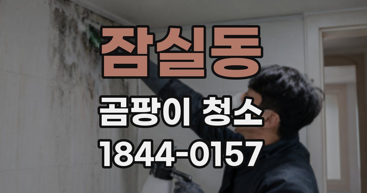잠실동 곰팡이 청소