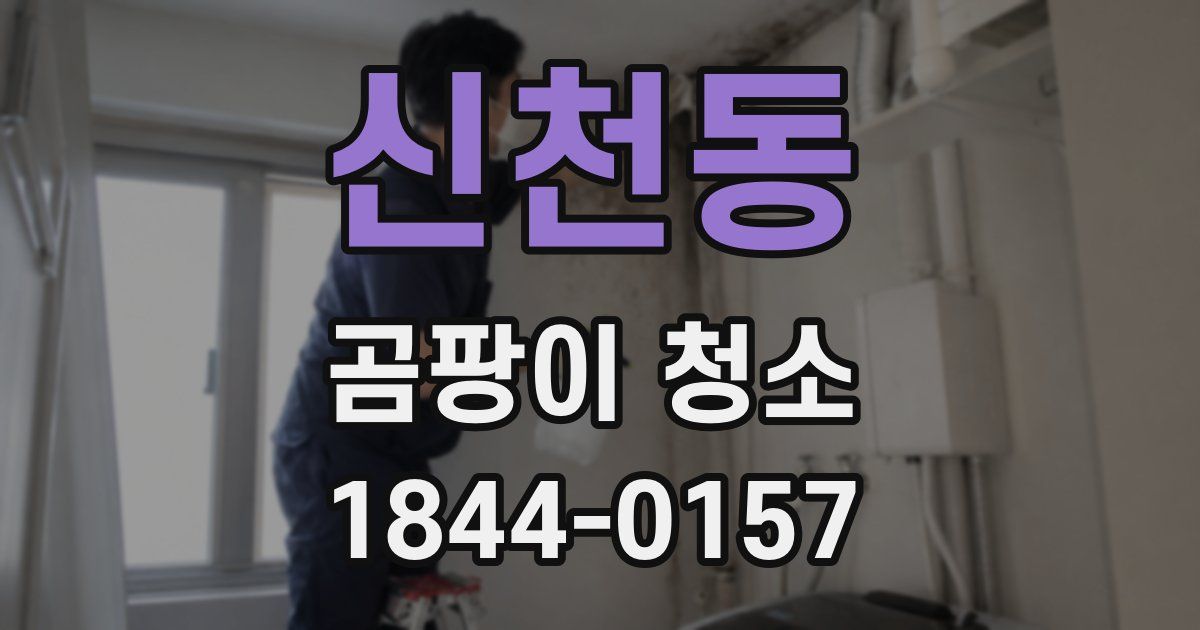 신천동 곰팡이 청소