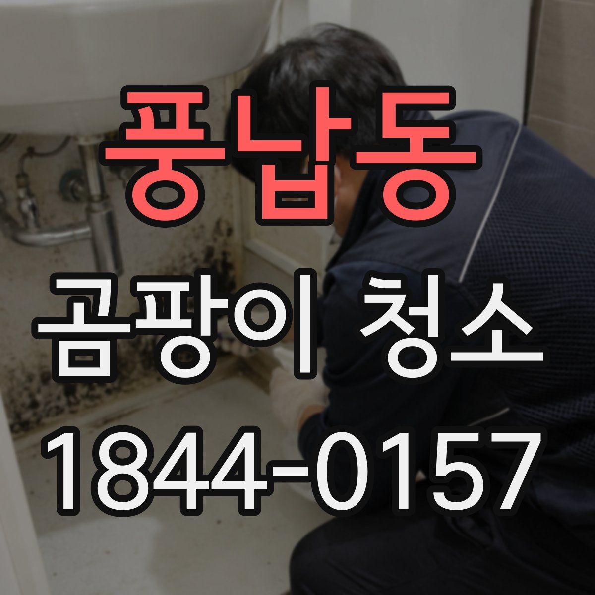풍납동 곰팡이 청소