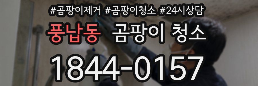 풍납동 곰팡이 청소