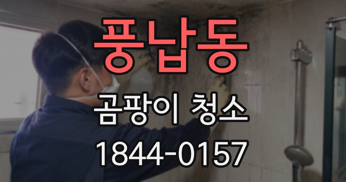 풍납동 곰팡이 청소