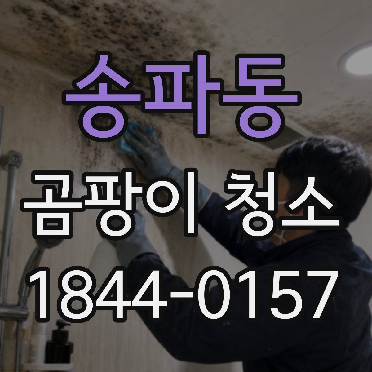 송파동 곰팡이 청소