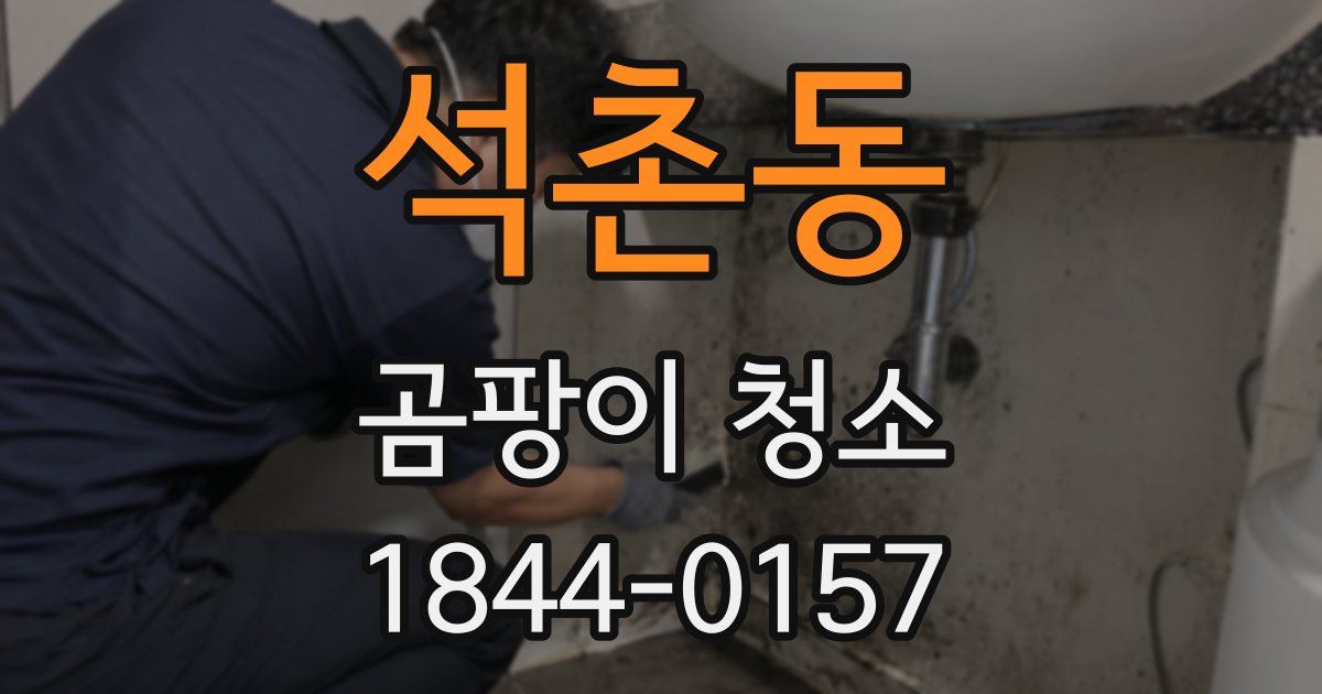 석촌동 곰팡이 청소