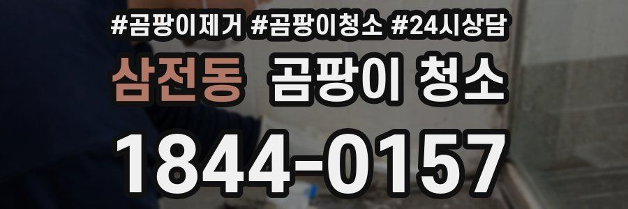 삼전동 곰팡이 청소