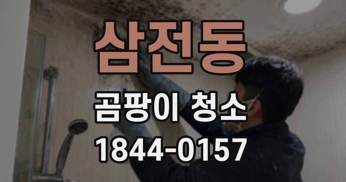 삼전동 곰팡이 청소