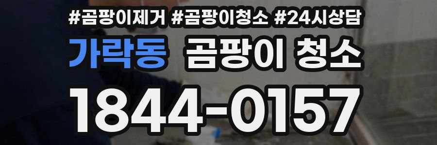 가락동 곰팡이 청소