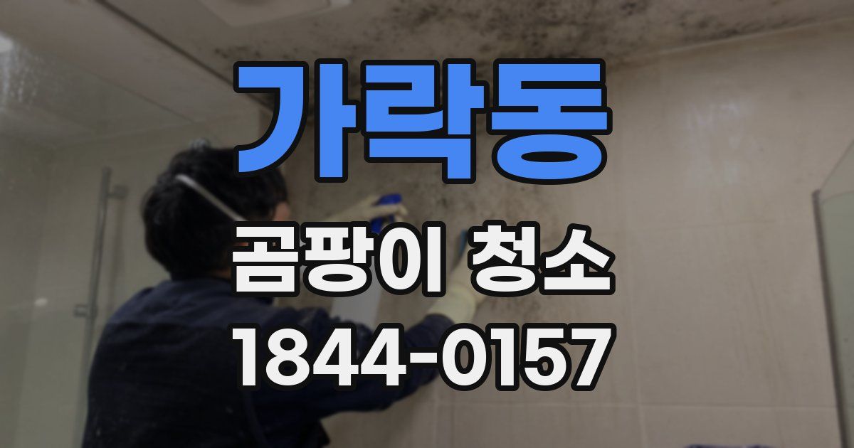가락동 곰팡이 청소