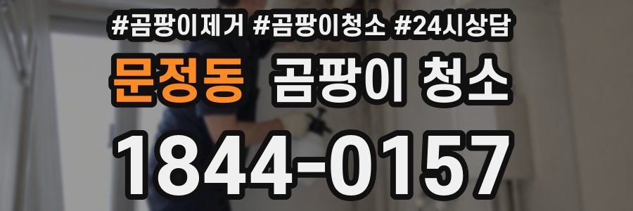 문정동 곰팡이 청소