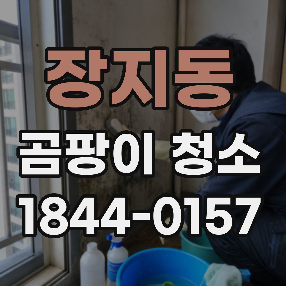 장지동 곰팡이 청소
