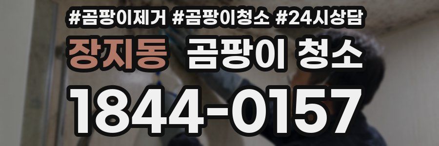 장지동 곰팡이 청소
