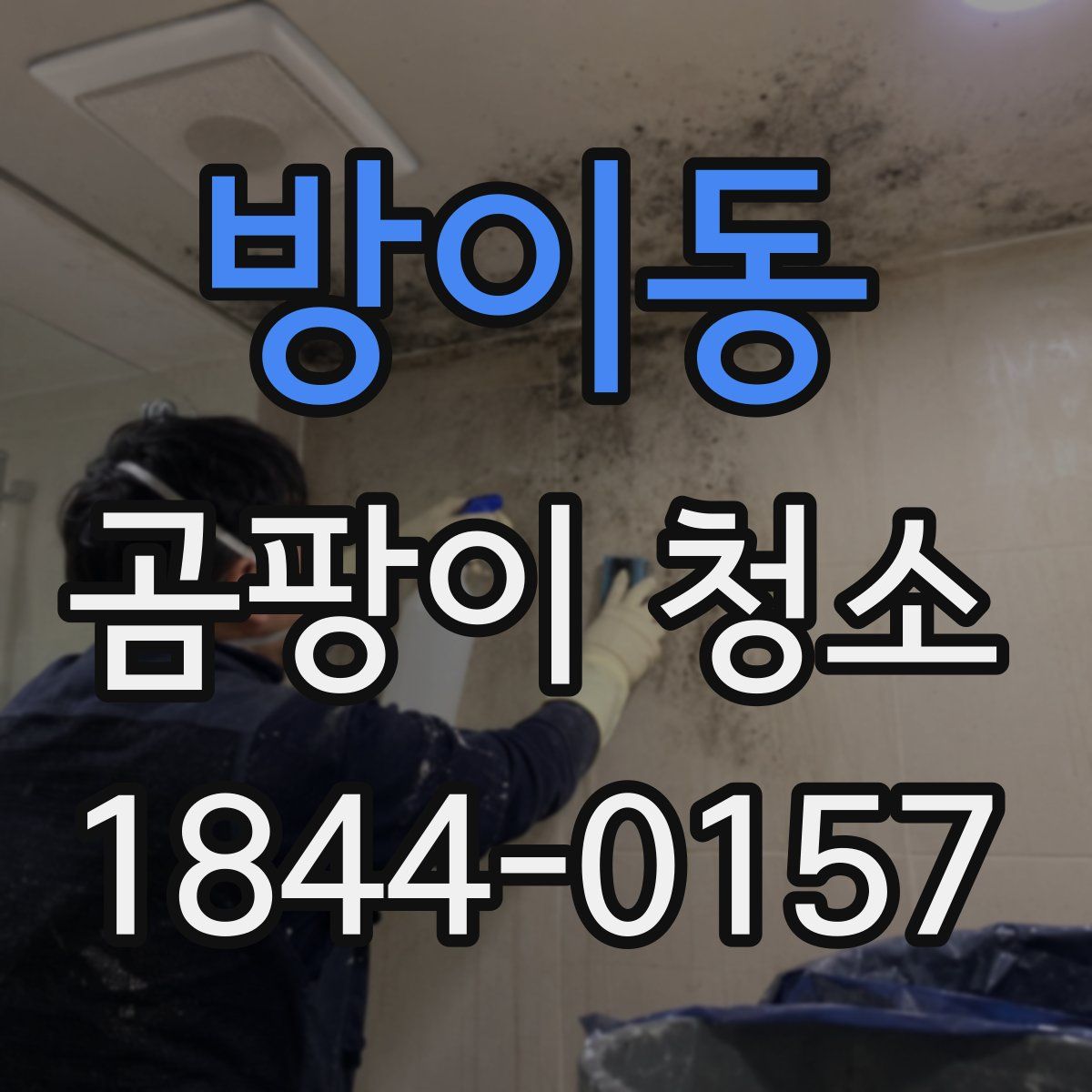 방이동 곰팡이 청소
