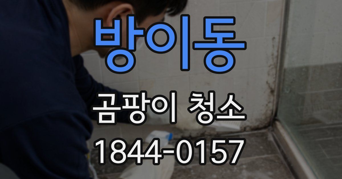 방이동 곰팡이 청소