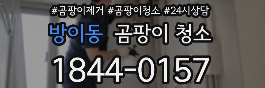 방이동 곰팡이 청소