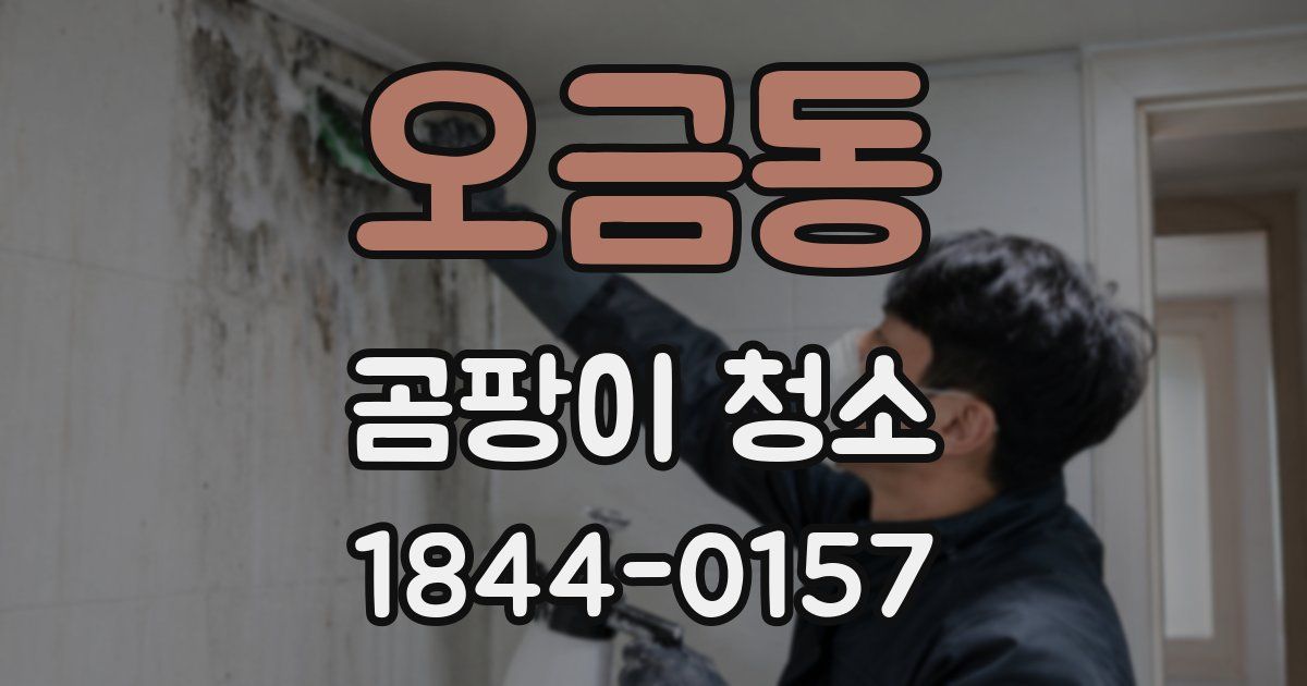 오금동 곰팡이 청소
