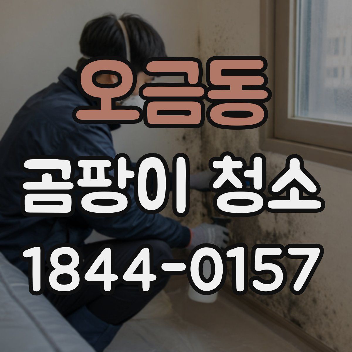 오금동 곰팡이 청소