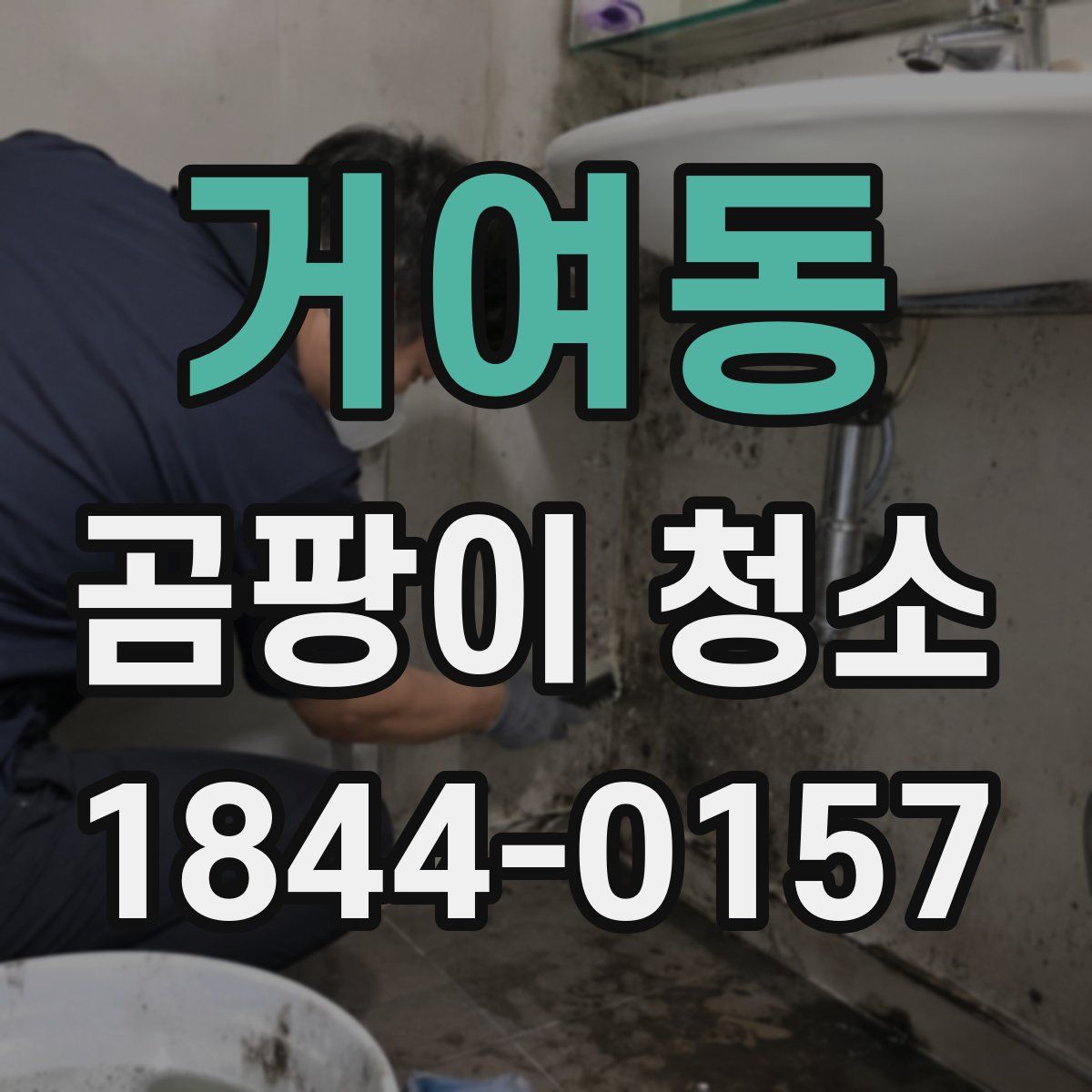 거여동 곰팡이 청소