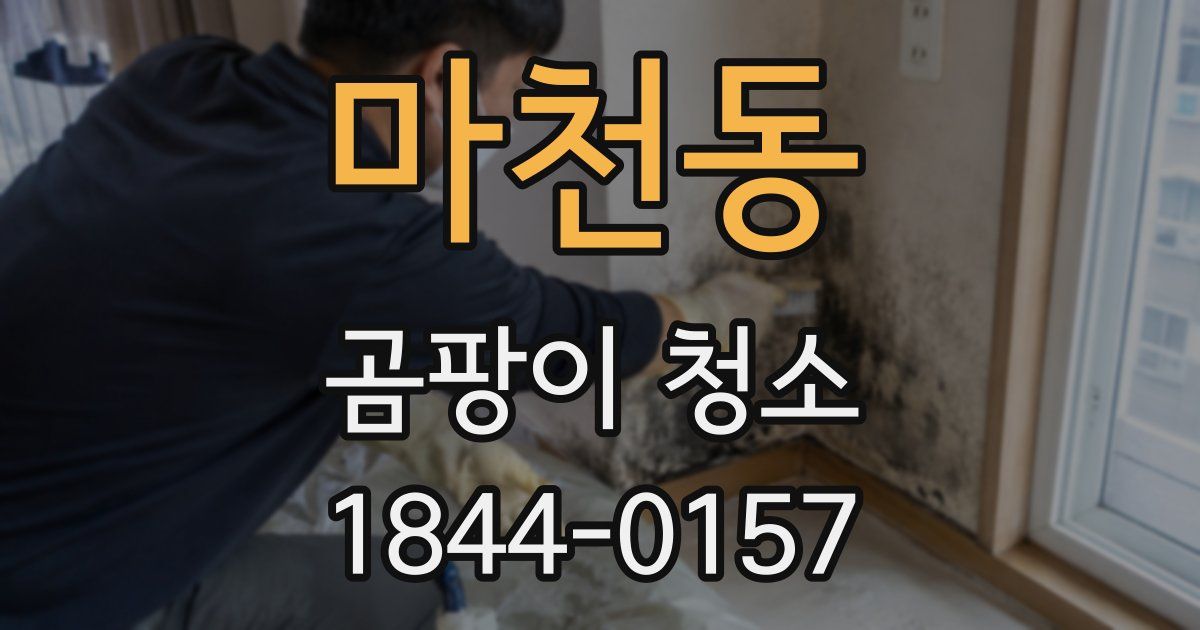 마천동 곰팡이 청소