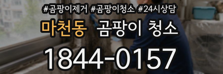 마천동 곰팡이 청소