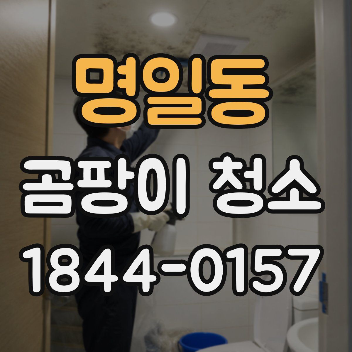 명일동 곰팡이 청소