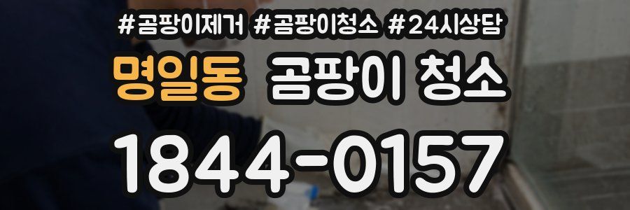 명일동 곰팡이 청소