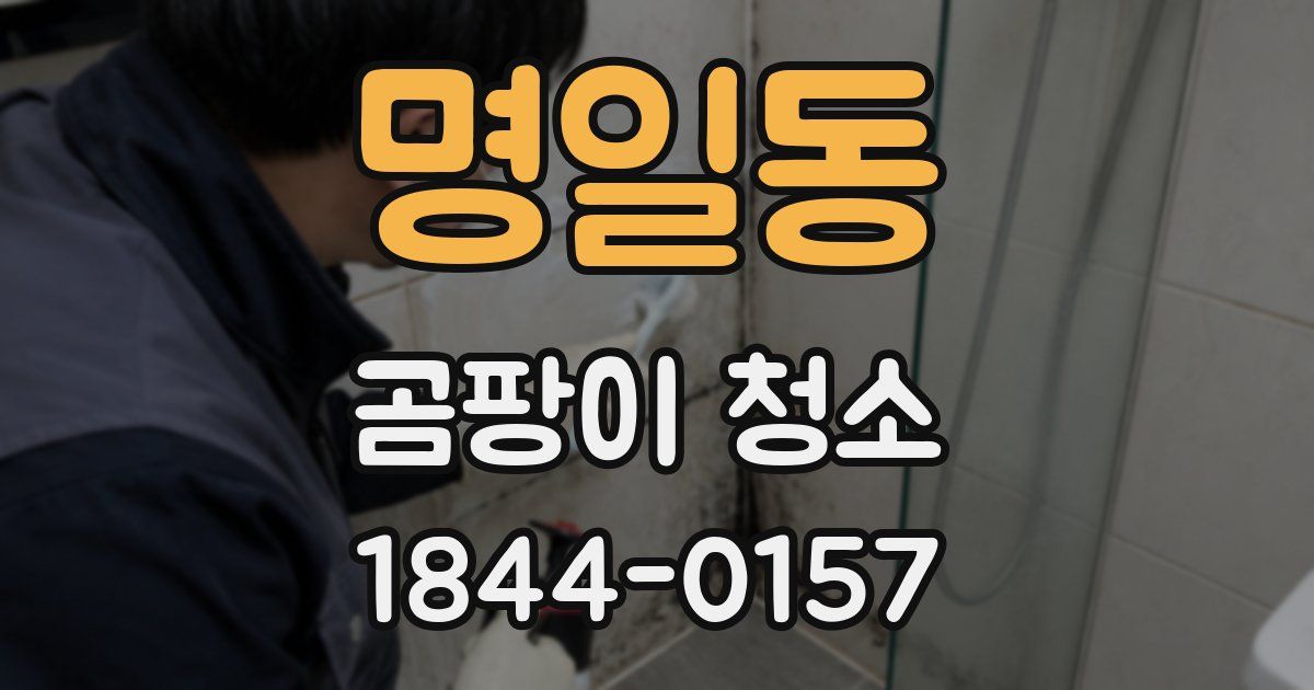 명일동 곰팡이 청소