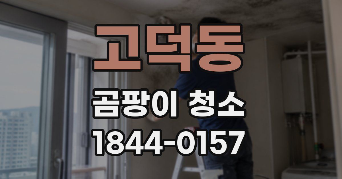 고덕동 곰팡이 청소