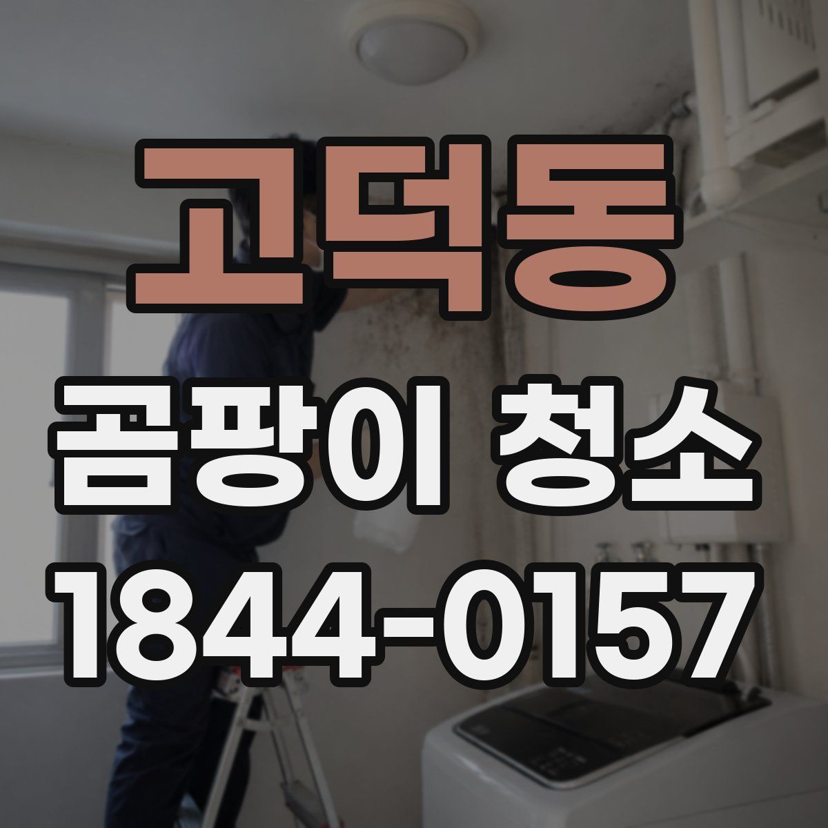 고덕동 곰팡이 청소