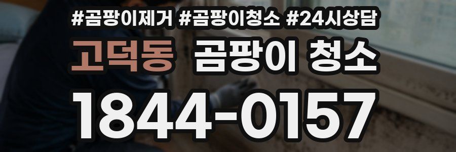 고덕동 곰팡이 청소